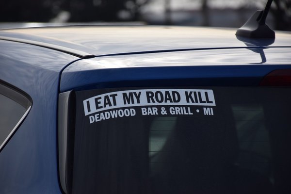20191212_RoadKill.jpg