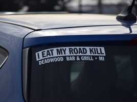 Road Kill